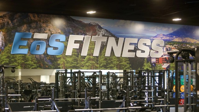 EōS Fitness wall mural with a landscape background above gym equipment